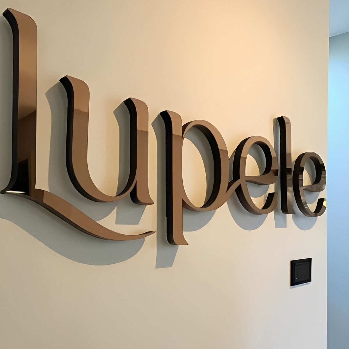 Metal & Acrylic Letters Sign