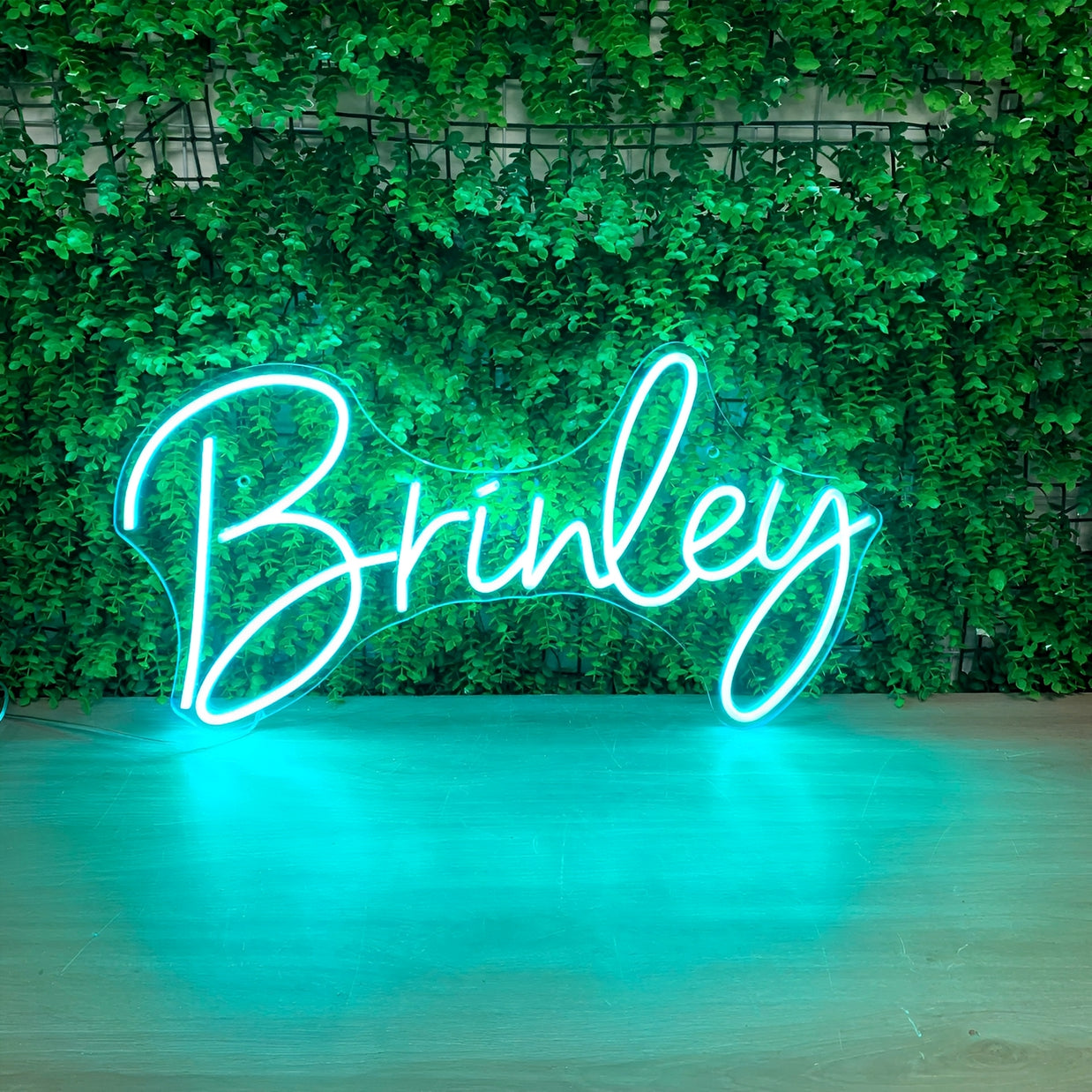 Custom LED Neon Sign
