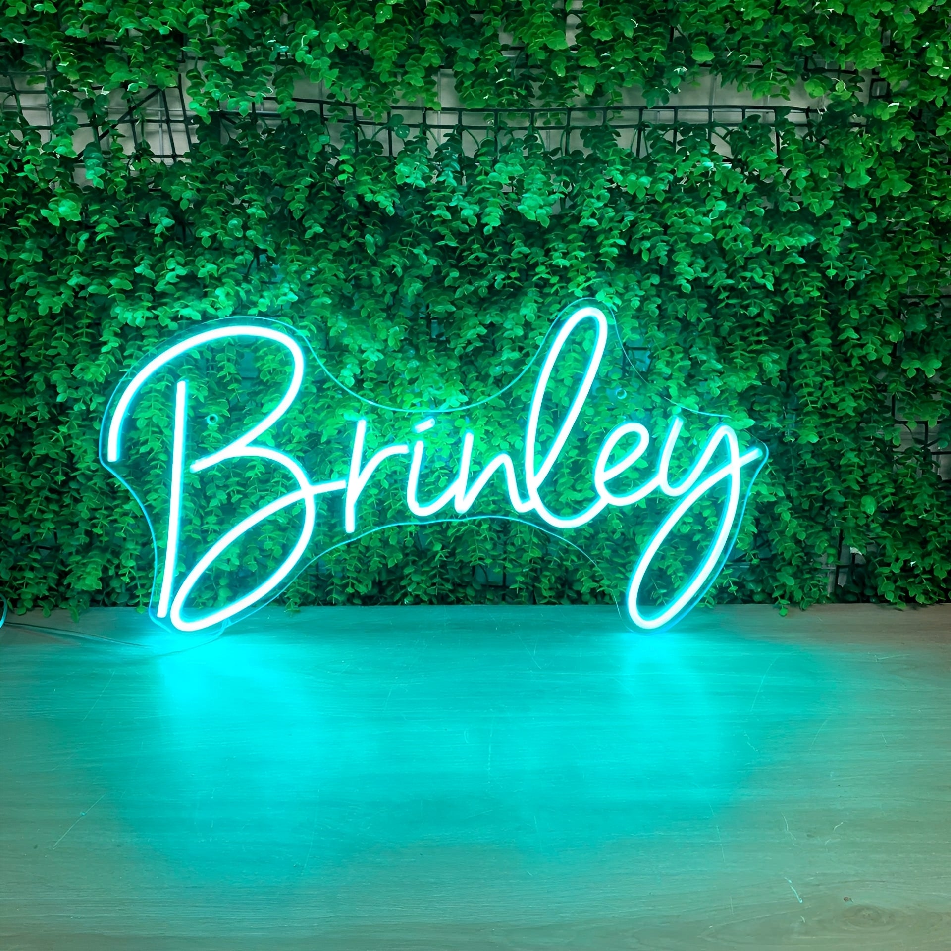 Custom LED Neon Sign