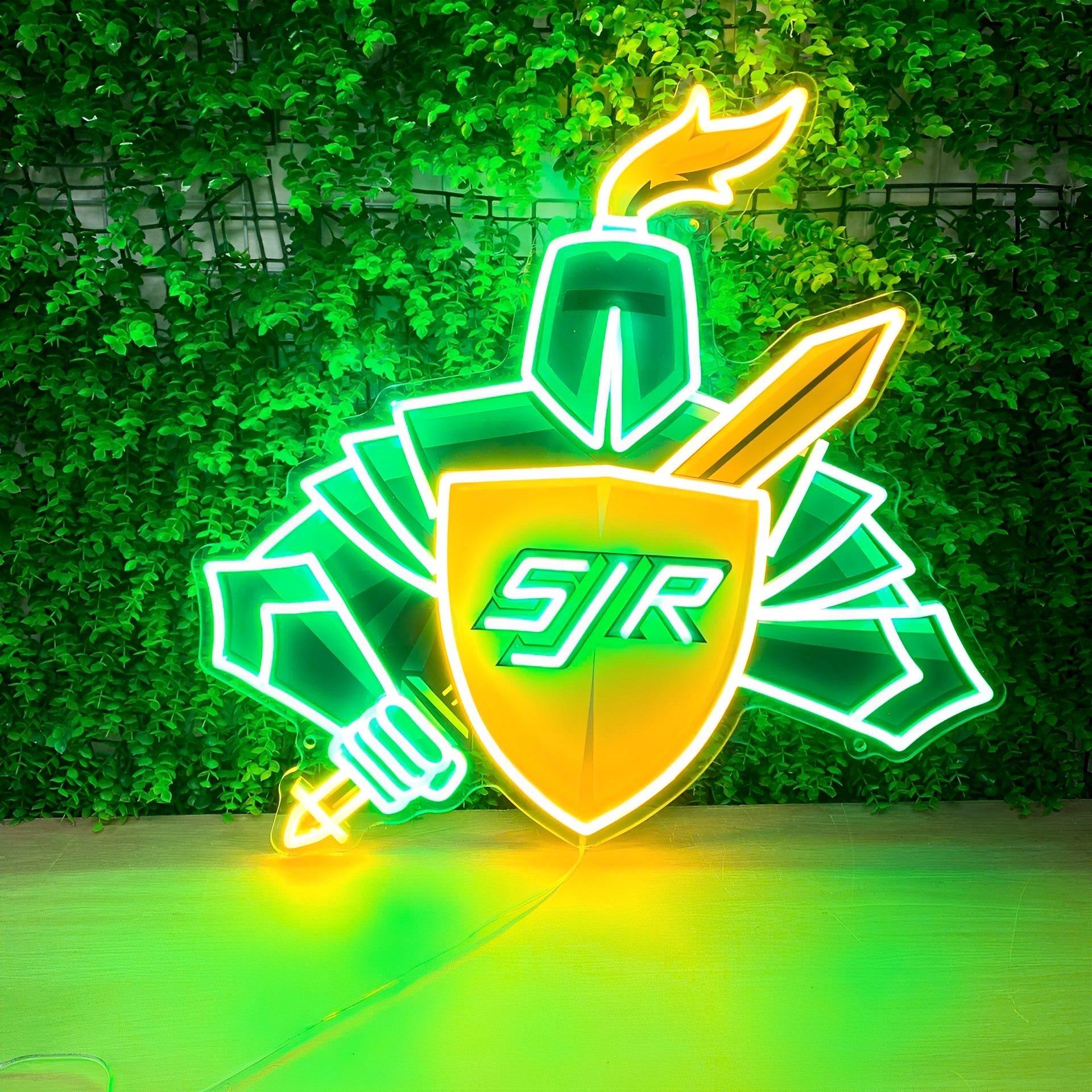 Custom LED Neon Sign