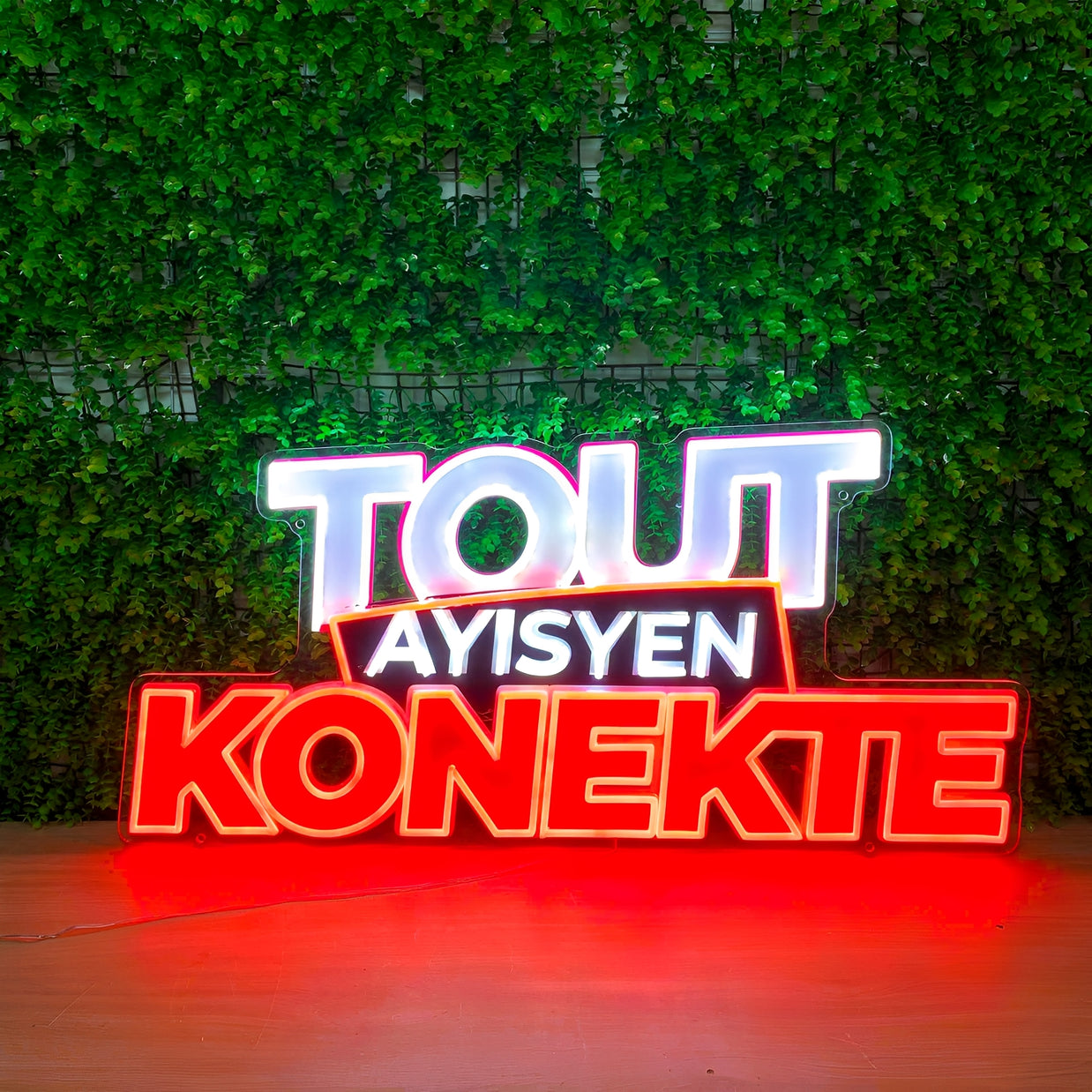 Custom LED Neon Sign